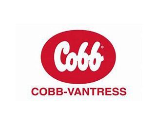 Cobb Vantress